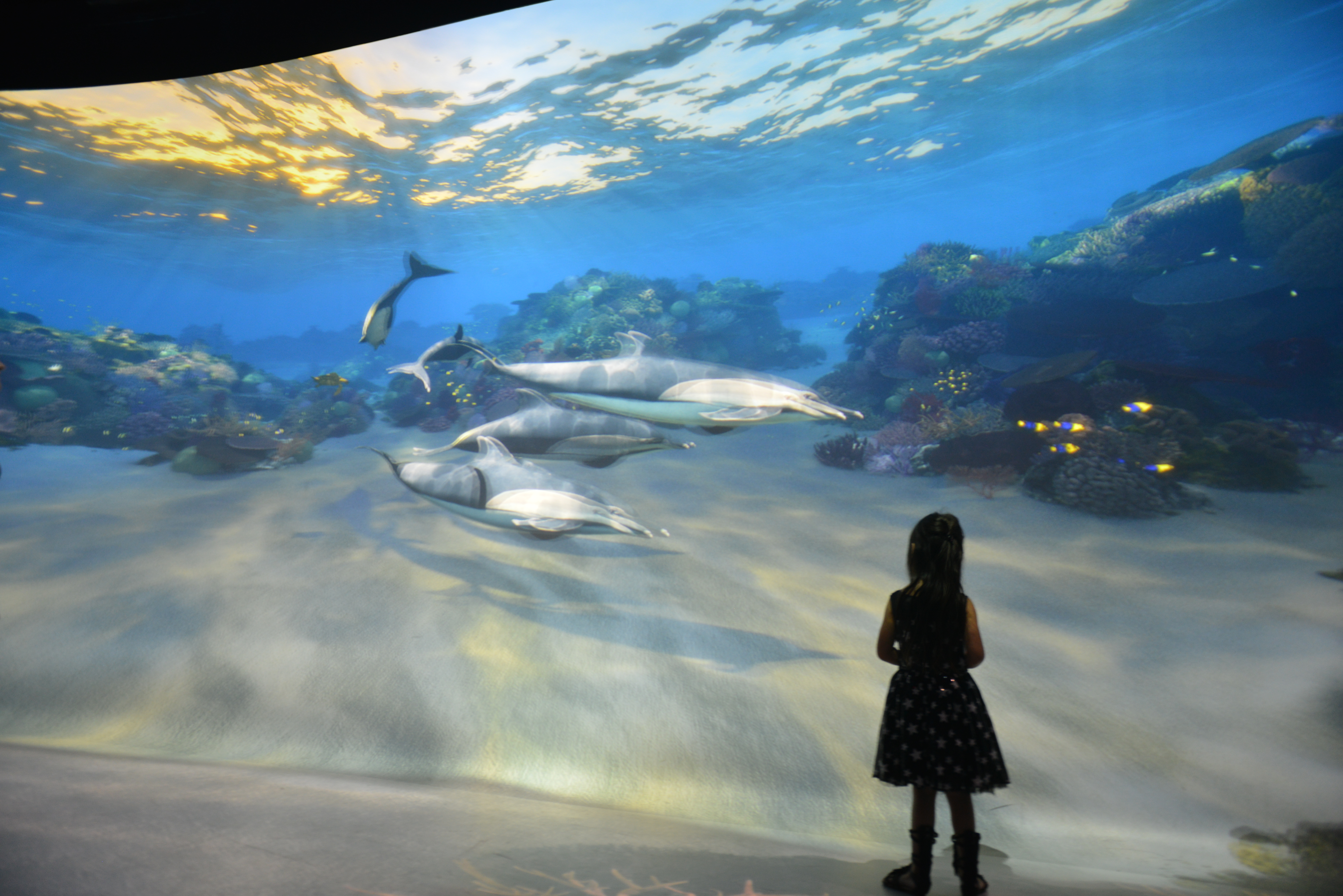 national geographic ocean odyssey, national geographic encounter, things to do times square