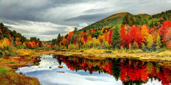 fall foliage, where to see fall foliage, vermont, manchester vt, manchester vermont, getaways from nyc
