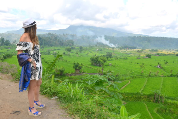 munduk bali, northern bali, northern bali rice plantation, rice plantation