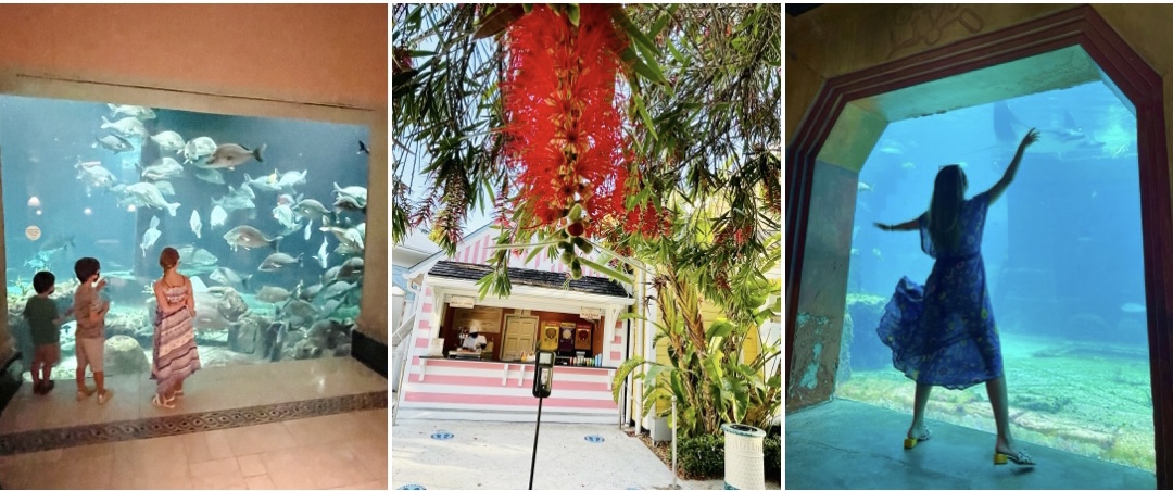 atlantis resort, atlantis bahamas, bahamas hotel, atlantis hotel, atlantis hotel review, atlantis review